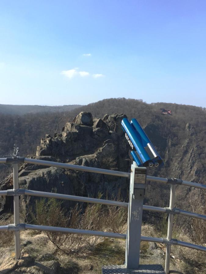 Ferienwohnung Am Friedenspark 2 Thale Zewnętrze zdjęcie